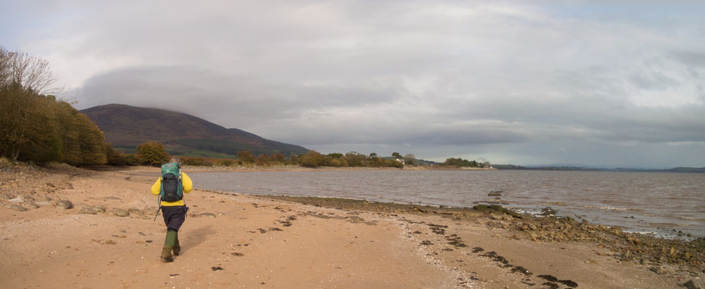 Description of image 3