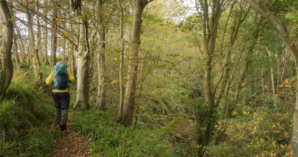 Description of image 1
