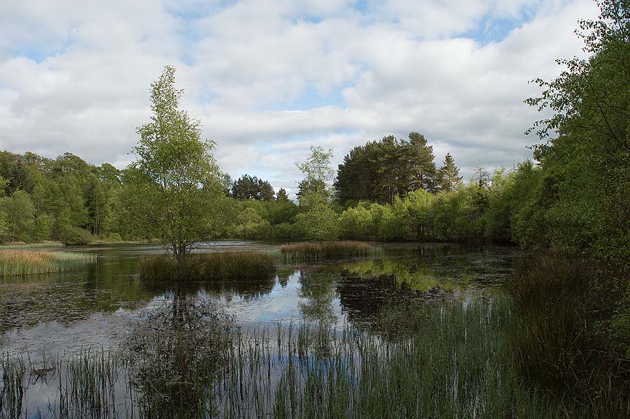 Description of image 1