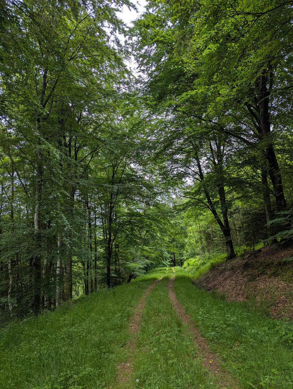 image 33