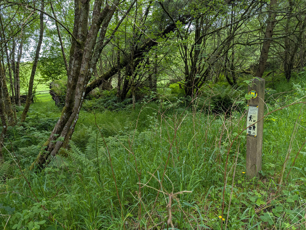 image 34